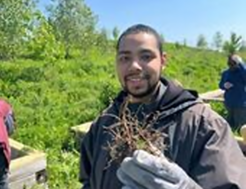 Connecting communities