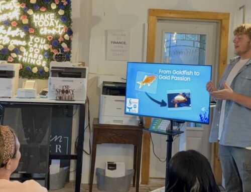 Turning passion into business